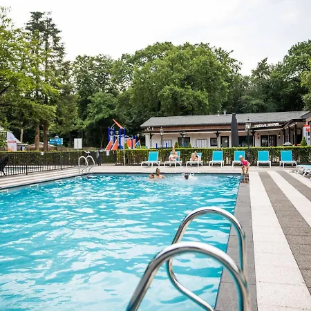 Luxurious With Dishwasher, In The Nature Of De Veluwe *