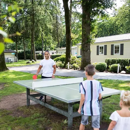 Villa Luxurious With Dishwasher, In The Nature Of De Veluwe *